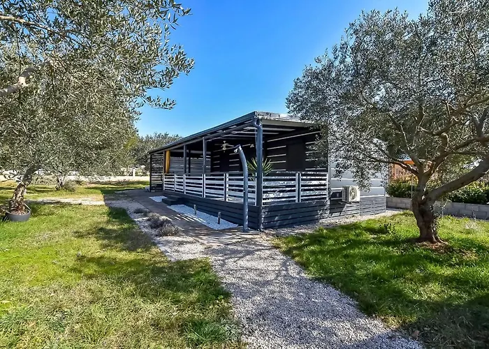 Mobile Pen Shell Vikendica