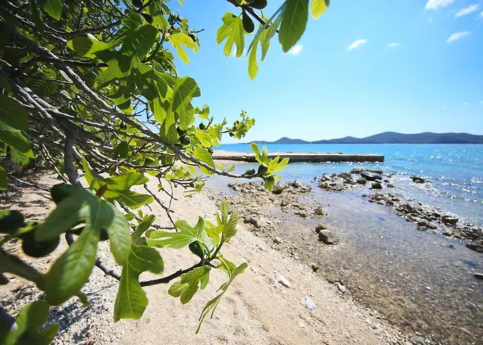 Mobile Pen Shell Vikendica Biograd Na Moru